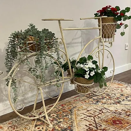 Wonderful In The Heart Of Apartment